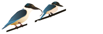 MAP Projects logo 
